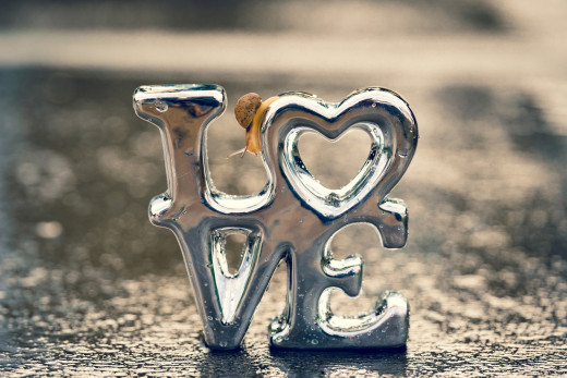 1757803 (a): :2048x1365